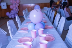 Caldeen-Craig-Baby-Shower-13