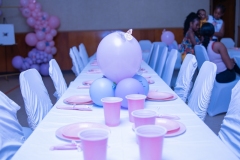 Caldeen-Craig-Baby-Shower-14