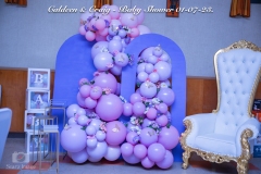 Caldeen-Craig-Baby-Shower-21