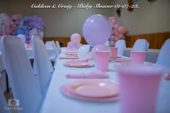 Caldeen-Craig-Baby-Shower-6