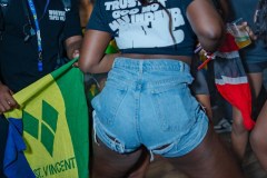 Flags-2023-DJ-KUSH-FRIENDS-38