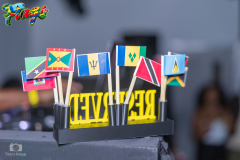 FLAGS-2026-12