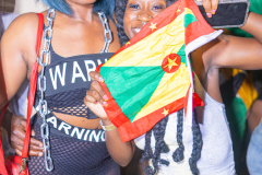 FLAGS-2026-186