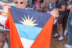FLAGS-2026-196