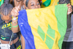 FLAGS-2026-28
