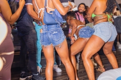 MID-SUMMER-NIGHT-FETE-2024-348