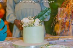 Nicoles-Baby-Shower-61