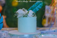 Nicoles-Baby-Shower-62