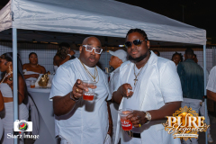 PURE-ELEGANCE-2026-381